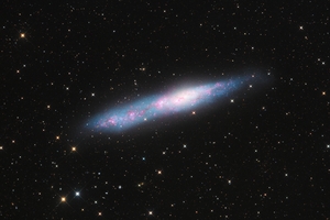 NGC55