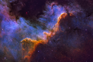 Cygnus Wall
