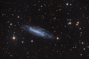 NGC-4236