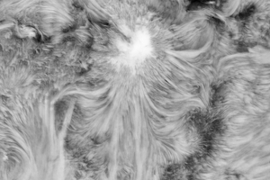 Jézus mennybe menetele