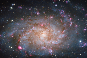 M33