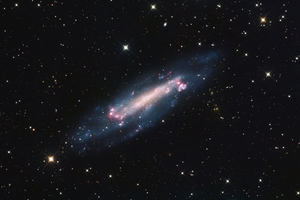 Ngc4236