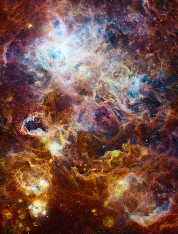 A Pók barlangjában