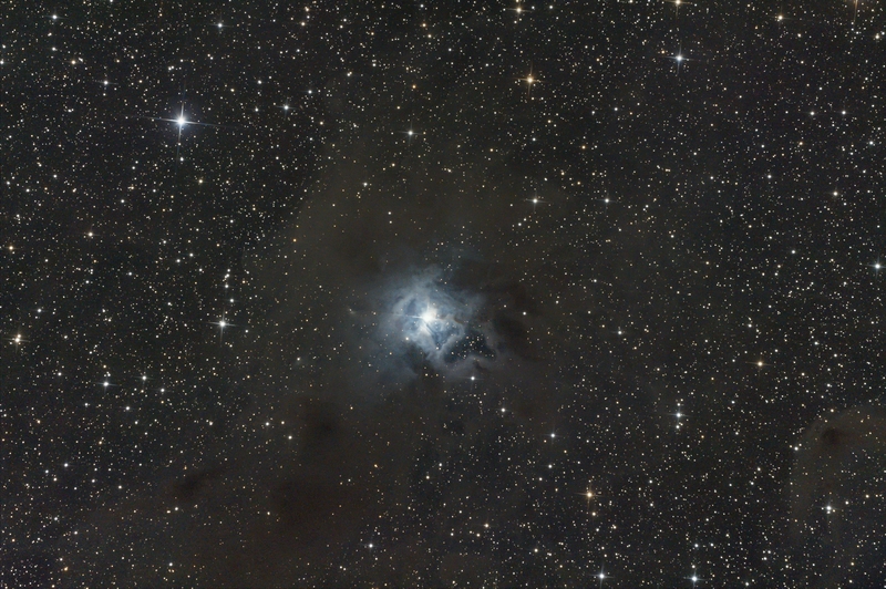 NGC7023 / C4 - Írisz nebula