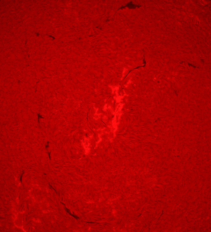 AR4513
