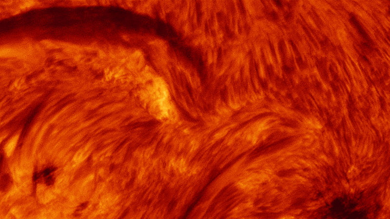 Ime, egy fler - Animáció