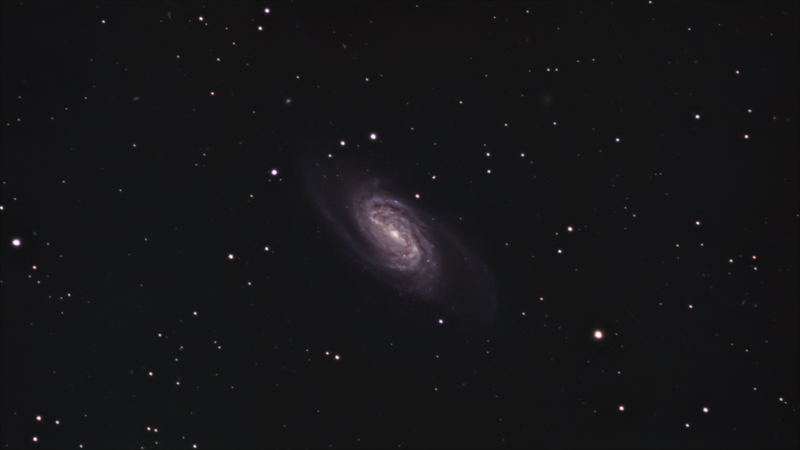 NGC 2903