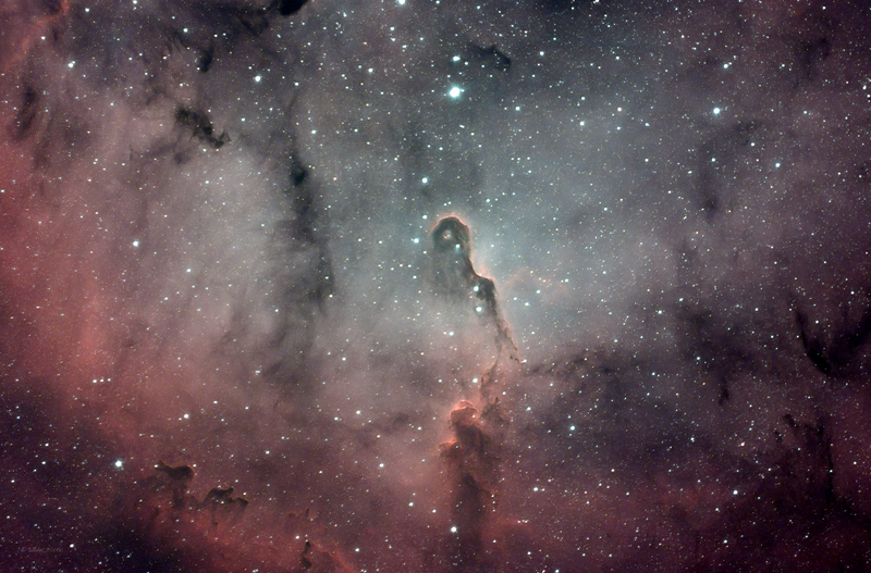Elefántormány-köd IC1396