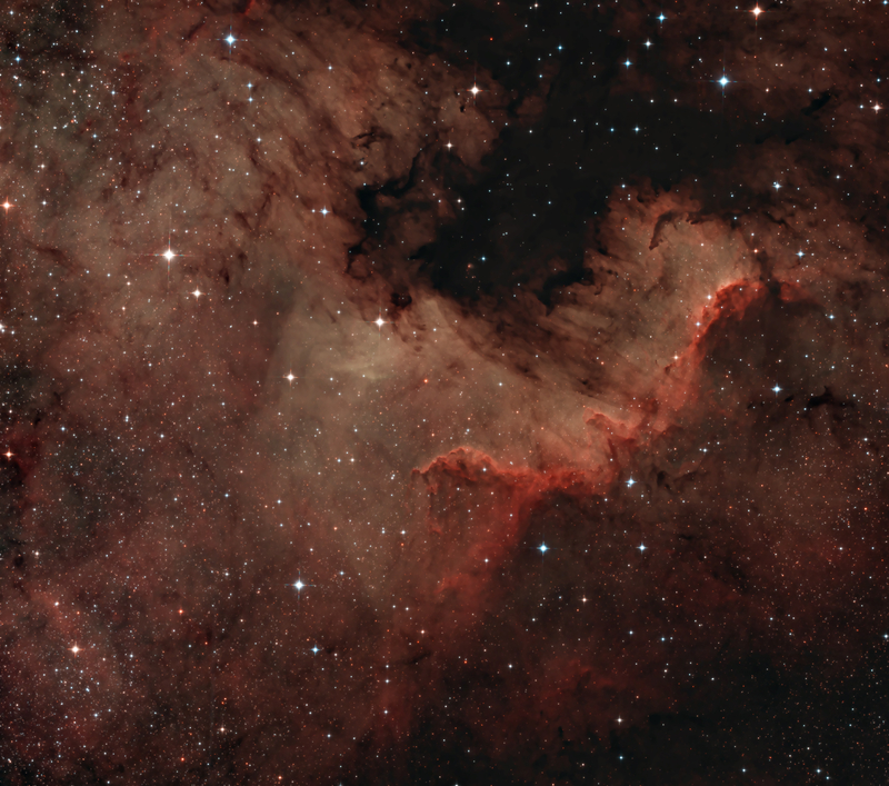 Cygnus Wall