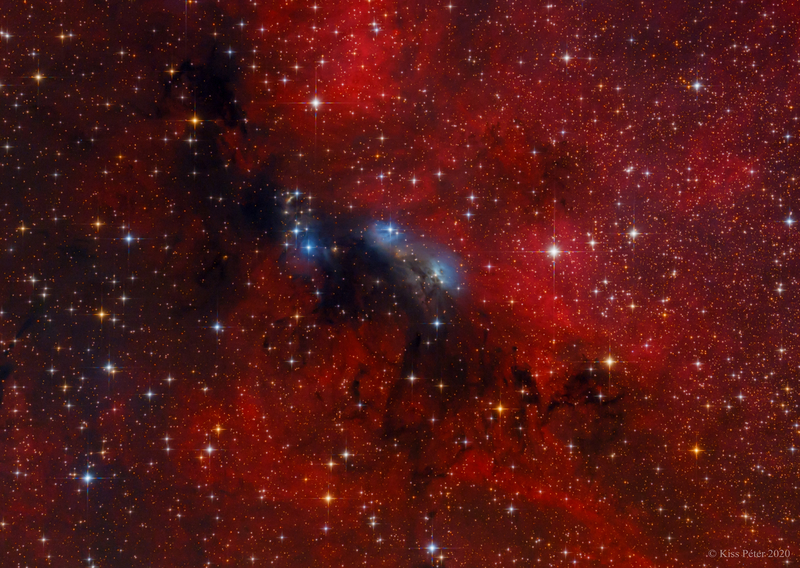 NGC 6914 reflexiós köd és környezete