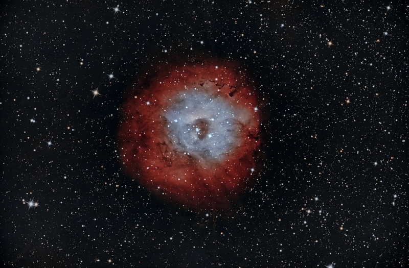 Sh2-170 kis rozetta