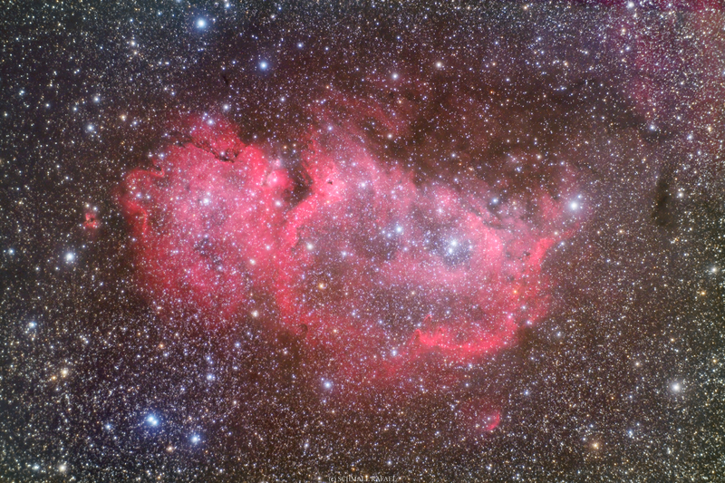 IC 1848 - Lélek / Embrió köd