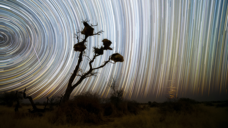 Szövőmadarak és az égi varrat