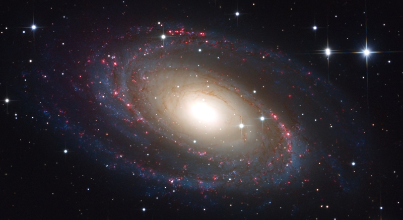 M81