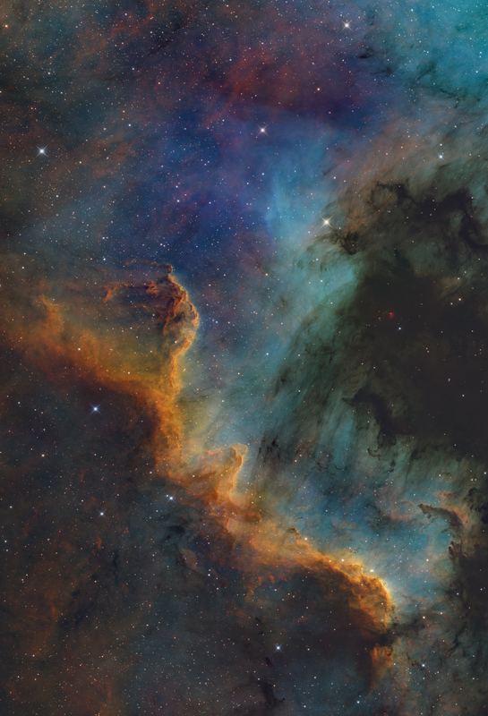 Cygnus Fal