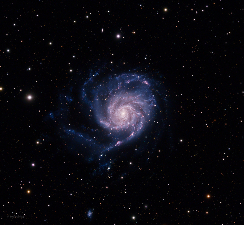 M101 - crop 