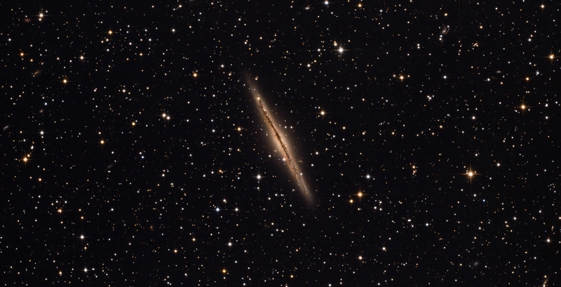 NGC 891