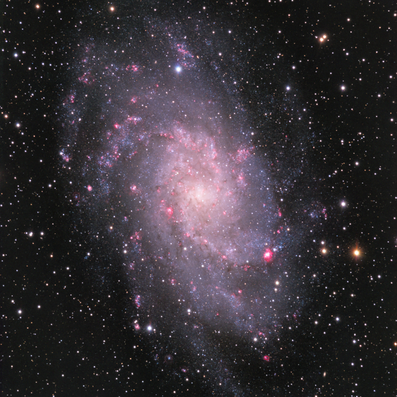 M33
