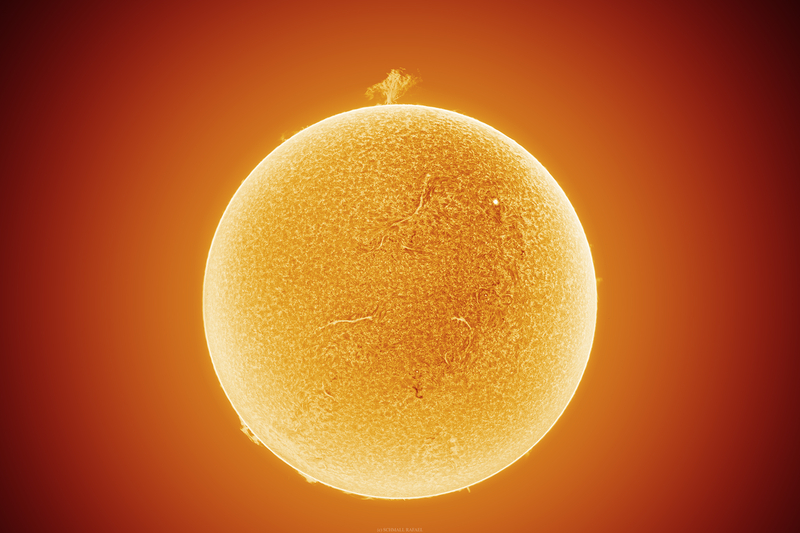 H-alfa Nap - Szavannafa