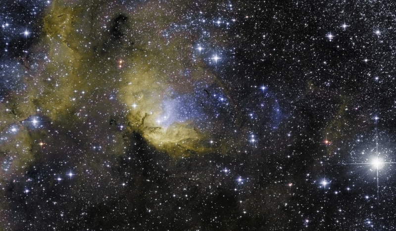 Tulipán-köd és Cygnus X-1 fekete lyuk