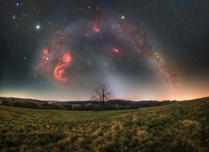 A magányos fa és az Univerzum találkozása 