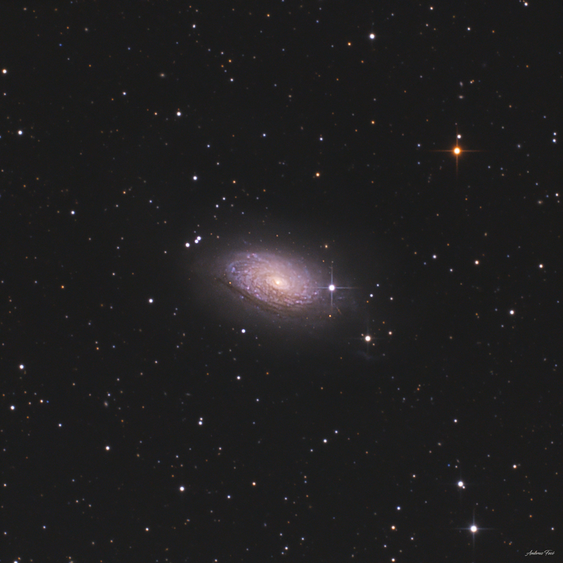 M63 Napraforgó galaxis