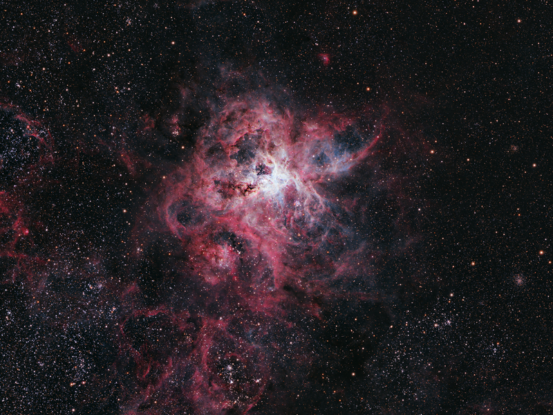 Tarantula-köd crop