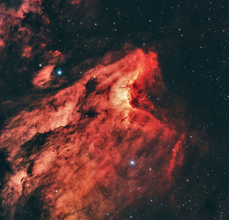 Pelikan nebula