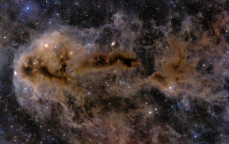 A Horgászhal-köd LDN 1251