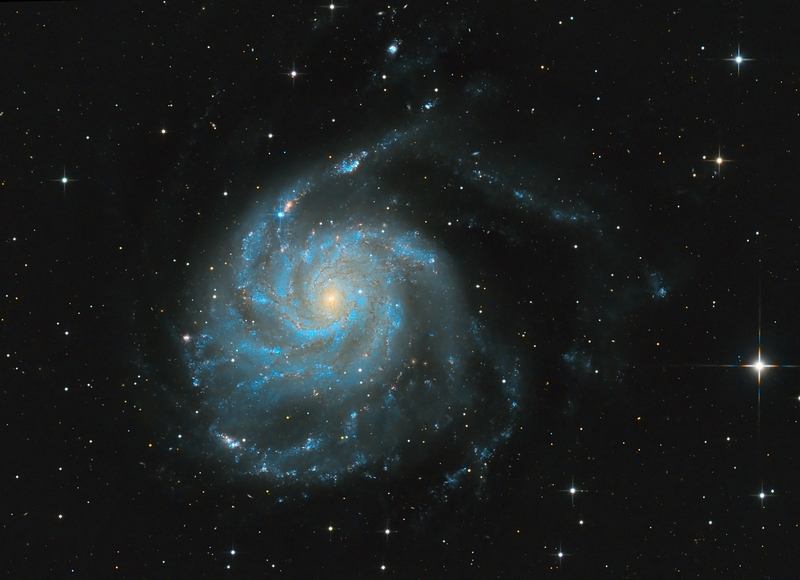 Szupernóva az M101 Szélkerékben