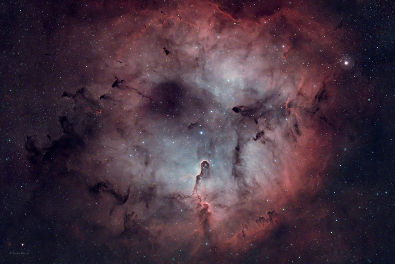 Elefántormány-köd (IC1396)