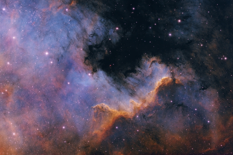 NGC 7000