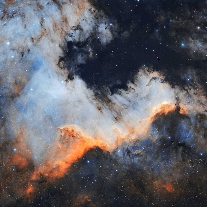 Cygnus Wall