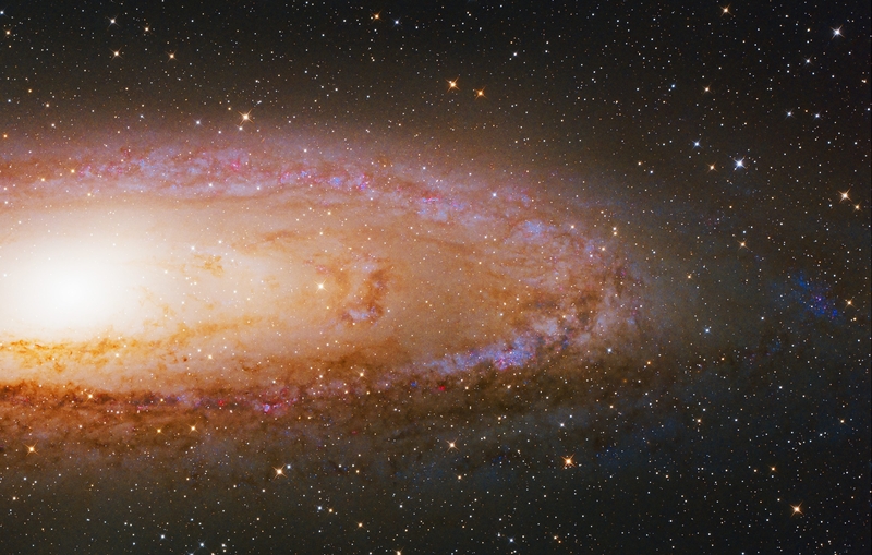 Andromeda