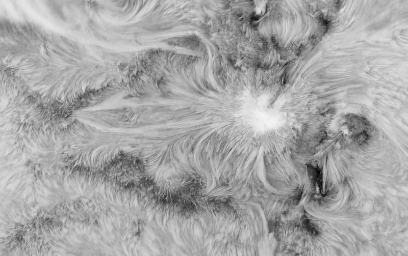 Az egyik legyszebb dolog, amit valaha fotóztam