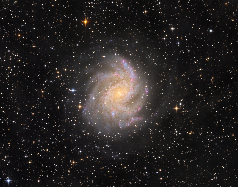 Tűzijáték galaxis (NGC 6946) close-up