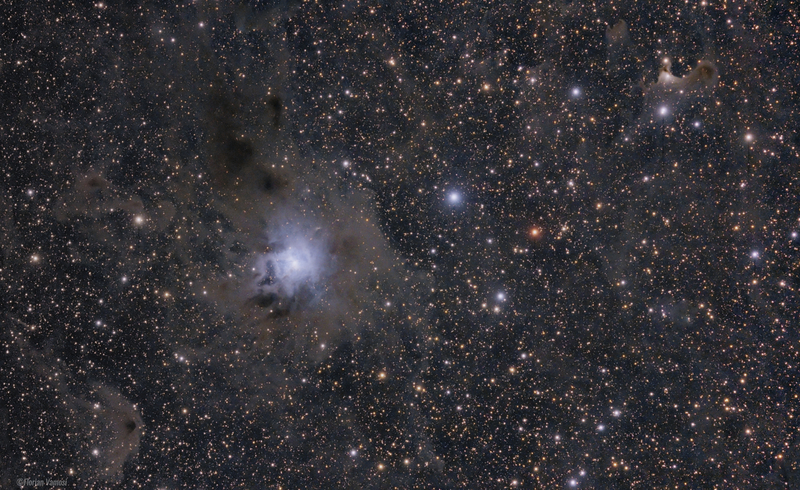 NGC 7023 - Írisz köd és a Cepheus Flare