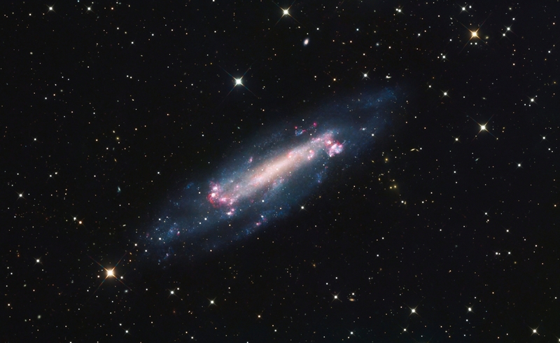 Ngc4236