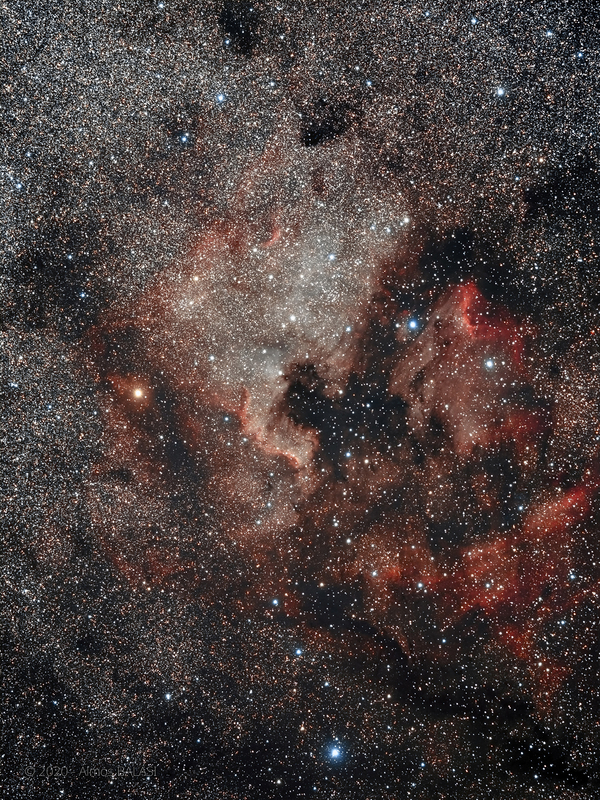Cygnus részlet -NGC7000 - IC5067 - IC5070 - eredeti 
