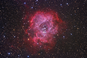 NGC 2244 - Rozetta