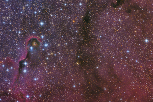 Az Elefántormány-köd (IC 1396A)