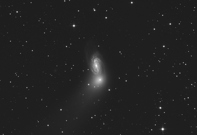 C/2018 Y1 (Iwamoto) az NGC 2903 Galaxis előtt