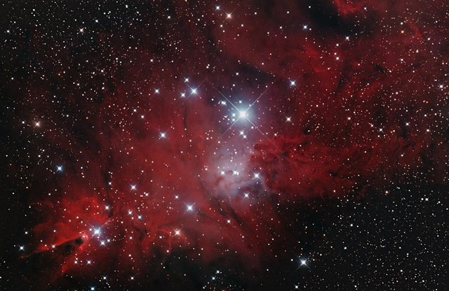 NGC 2264 - Kúp-köd és Karácsonyfa-halmaz