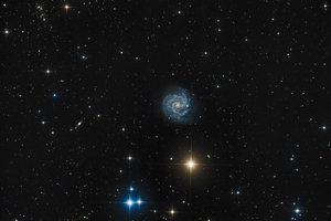NGC 3184 